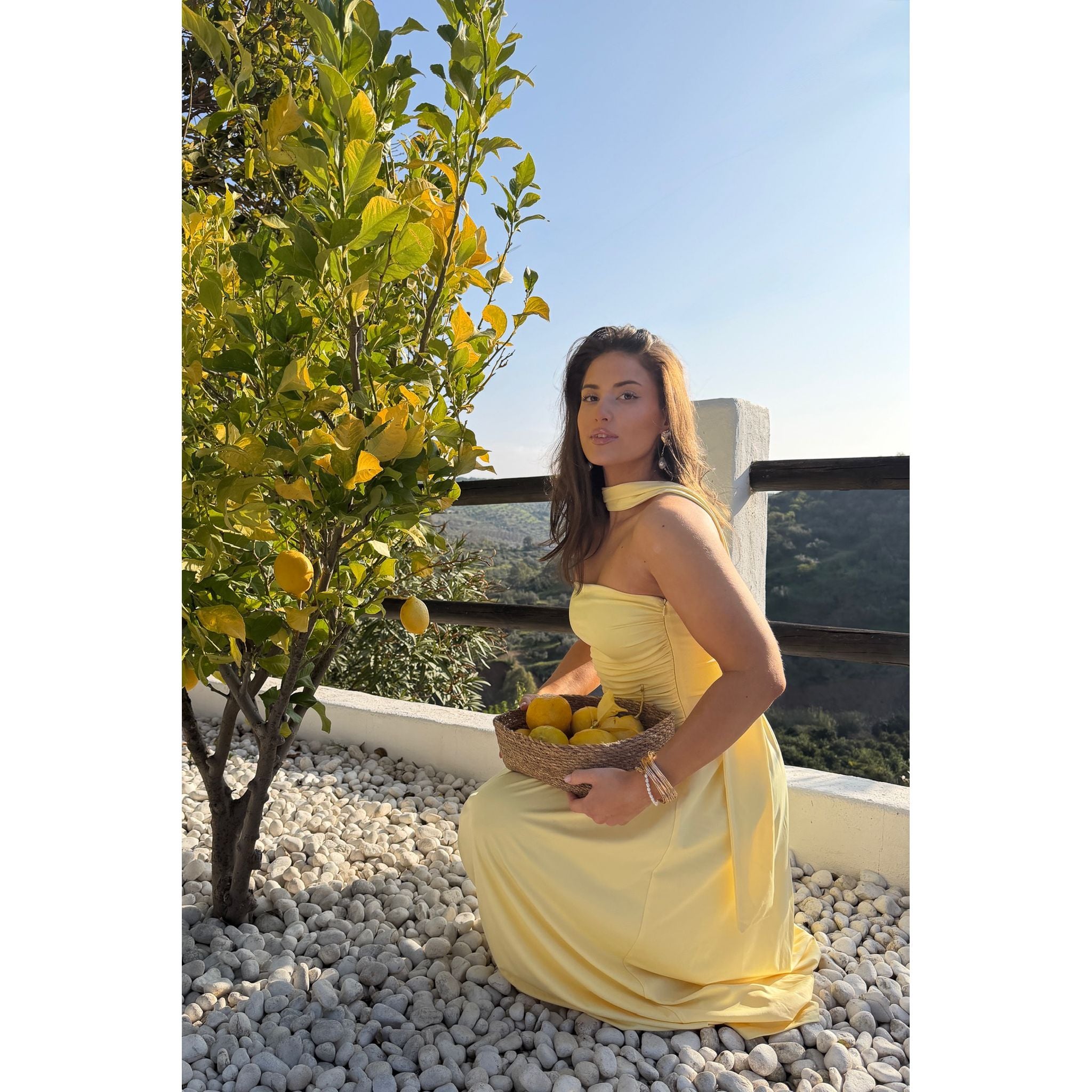 AstridIC Long Dress