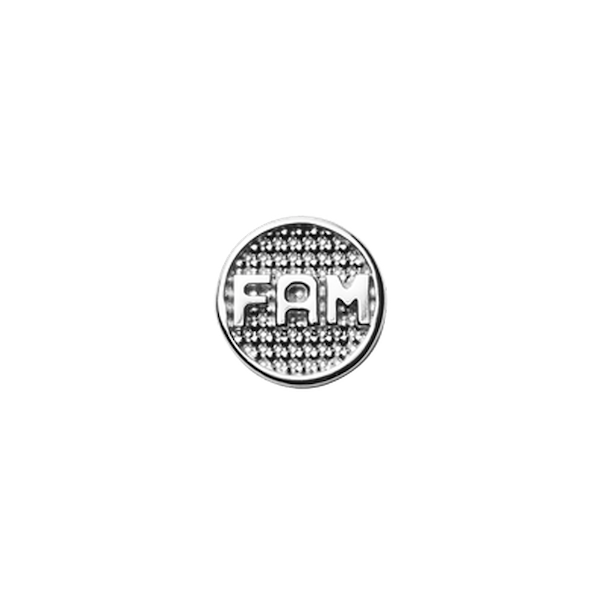 Fam Coin Silver