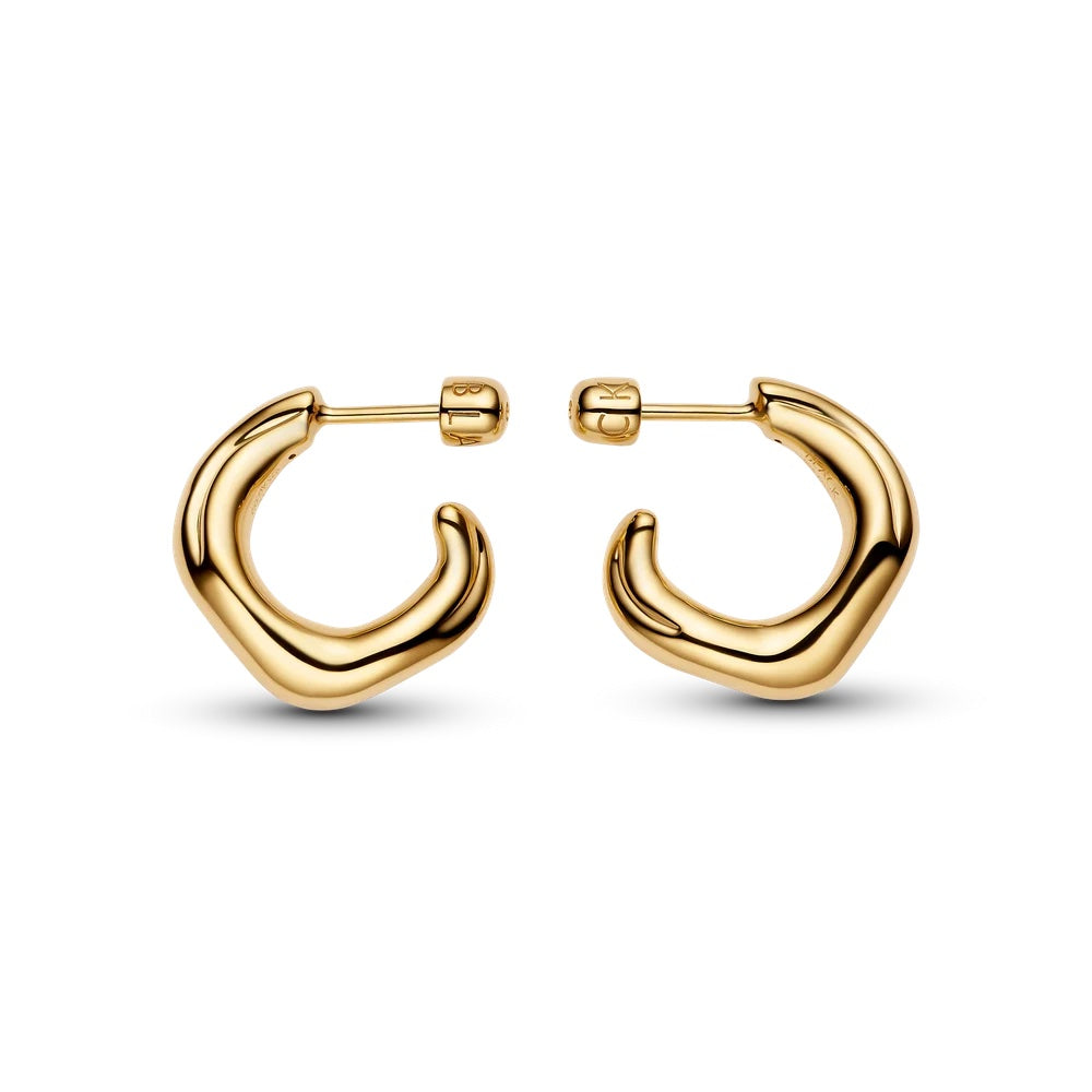 Anil Hoop Small Pair Gold