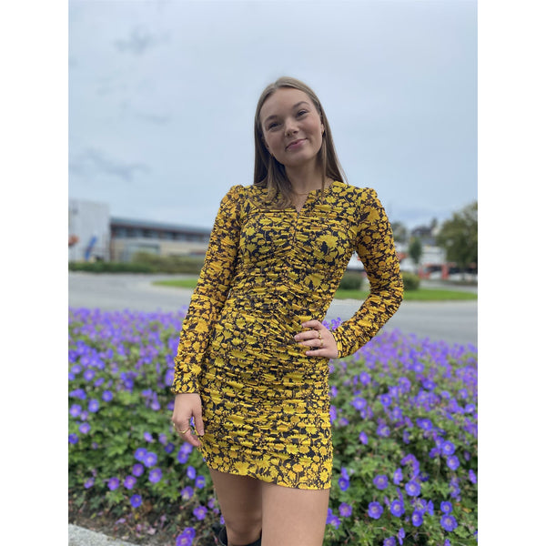 Printed Mesh Mini Dress