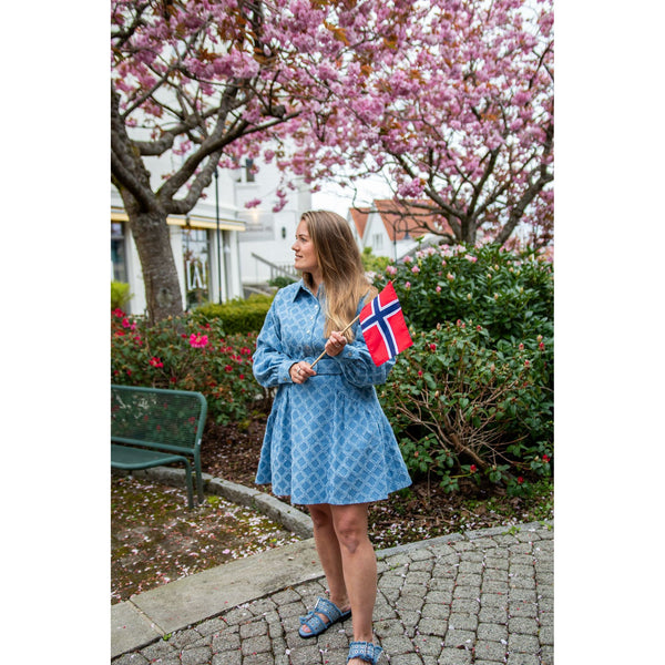 Zarah Dress Drenim