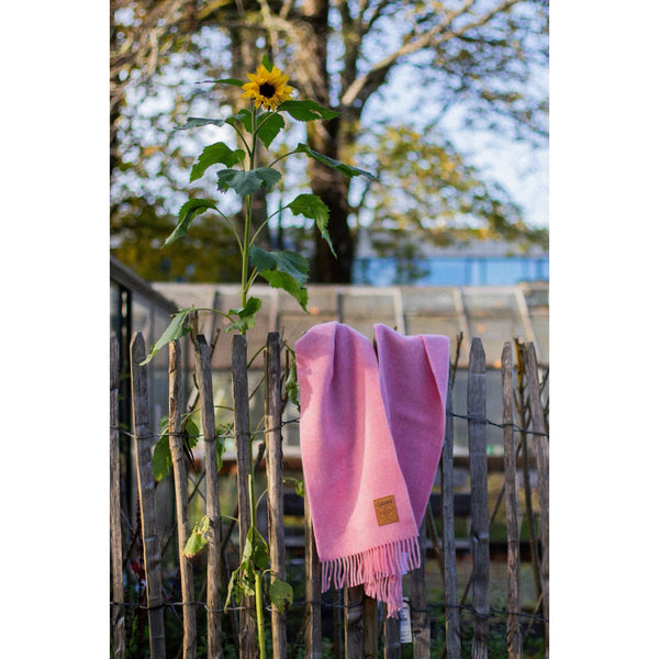 Double Face Wool Solid Scarf