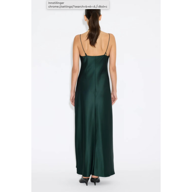 Robyn midi Dress
