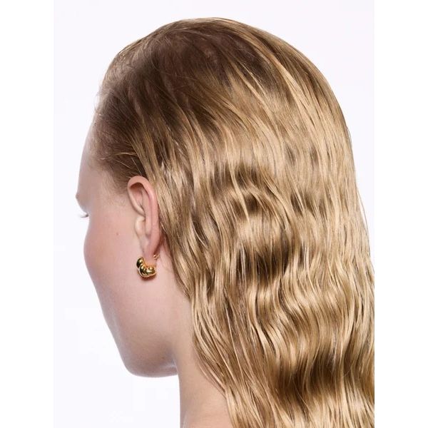 Robe Earring Small Gold Pair