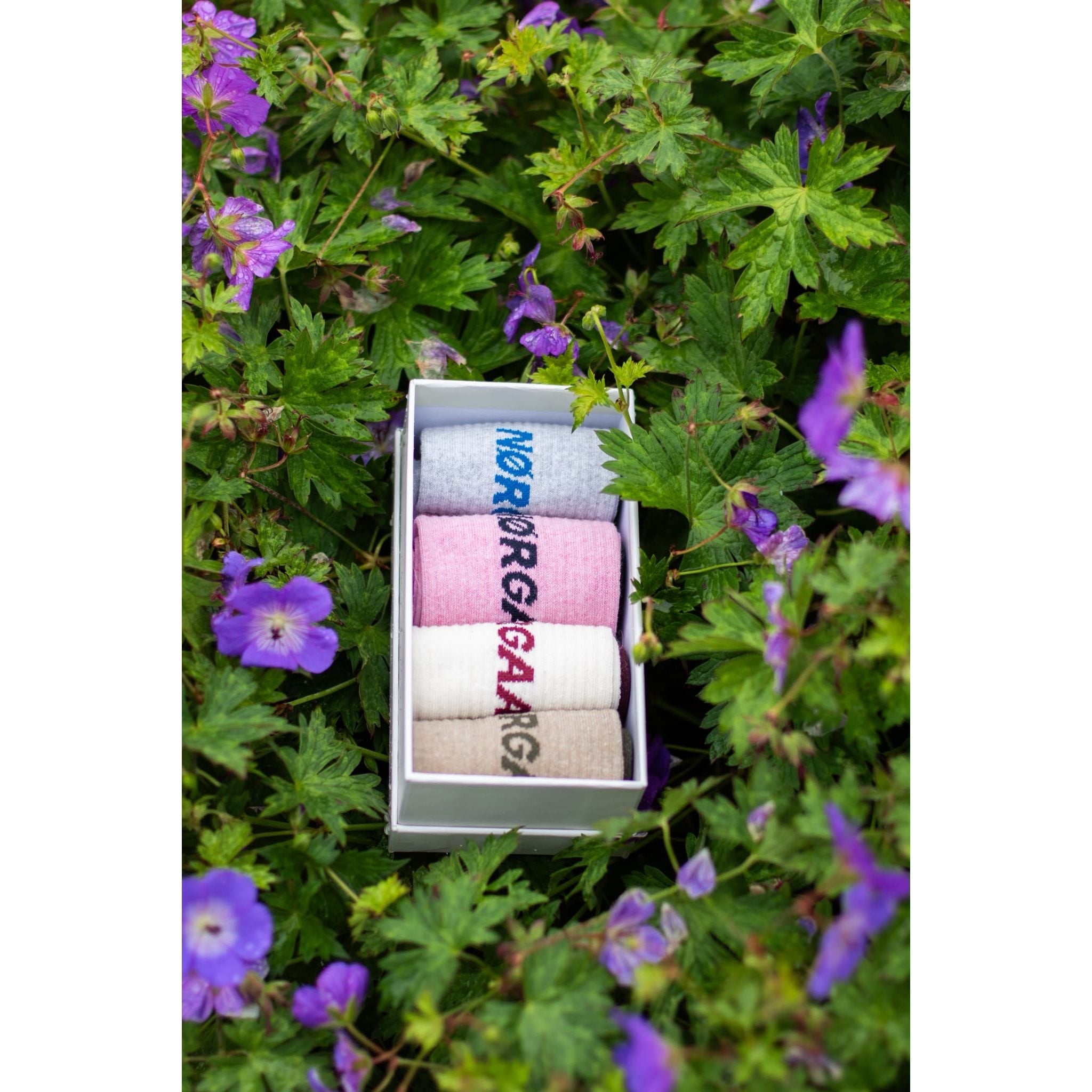 Sock Box Logo Stepper