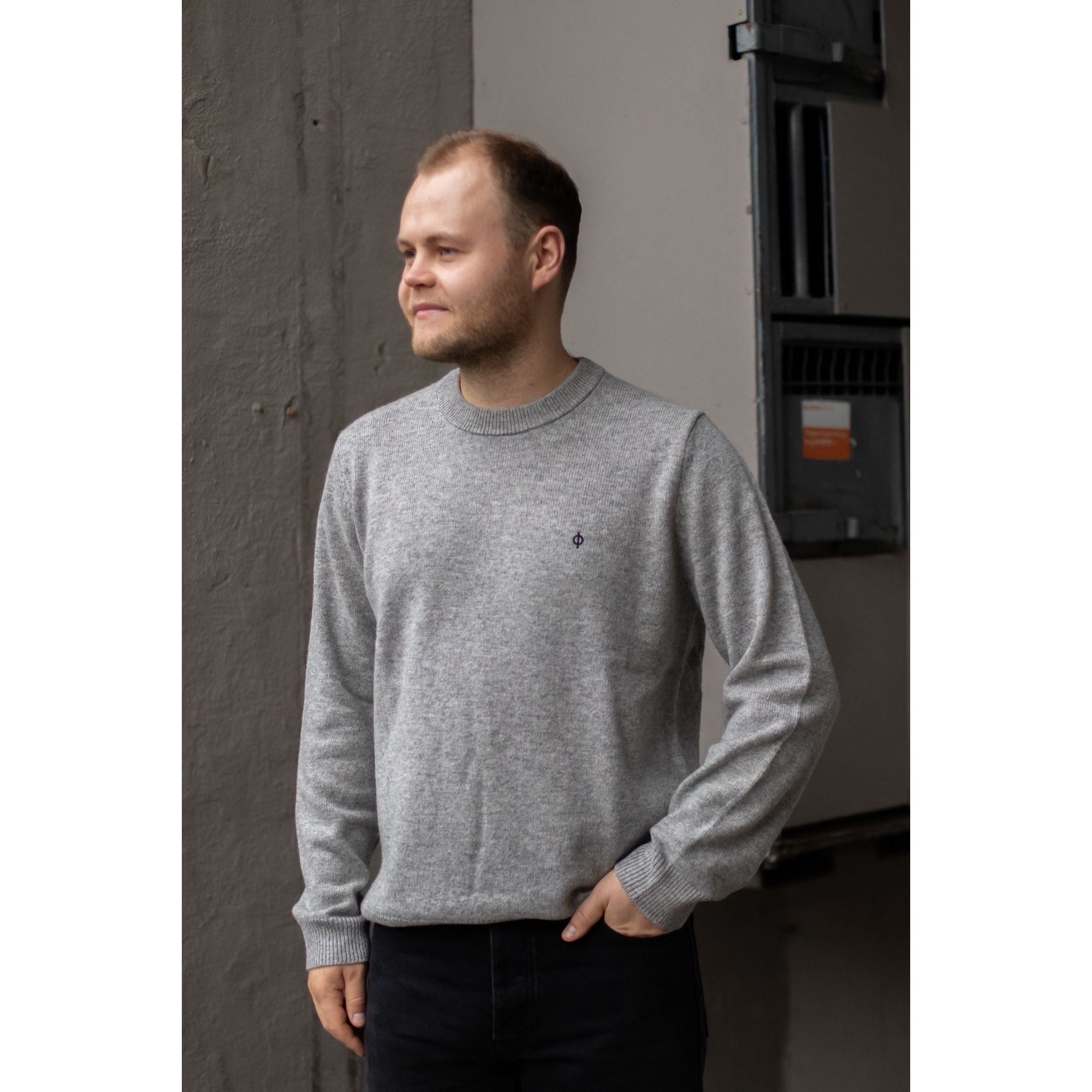 Sapatrik Sweater 132 Herre