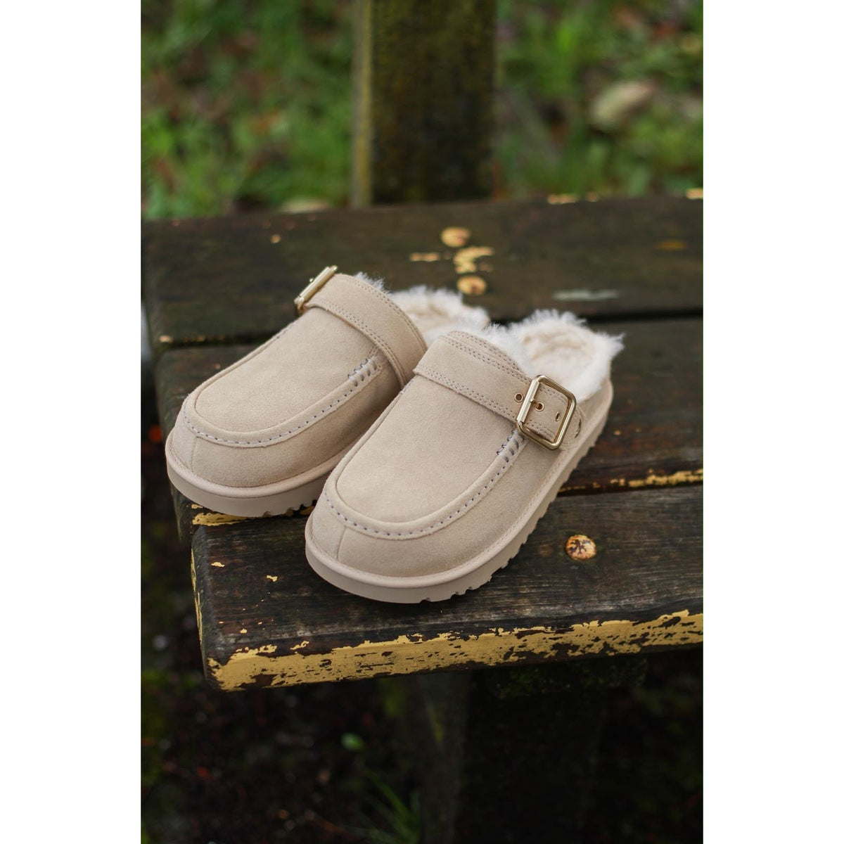 W Goldenstar Evelina Clog
