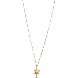 Necklace, Starfish