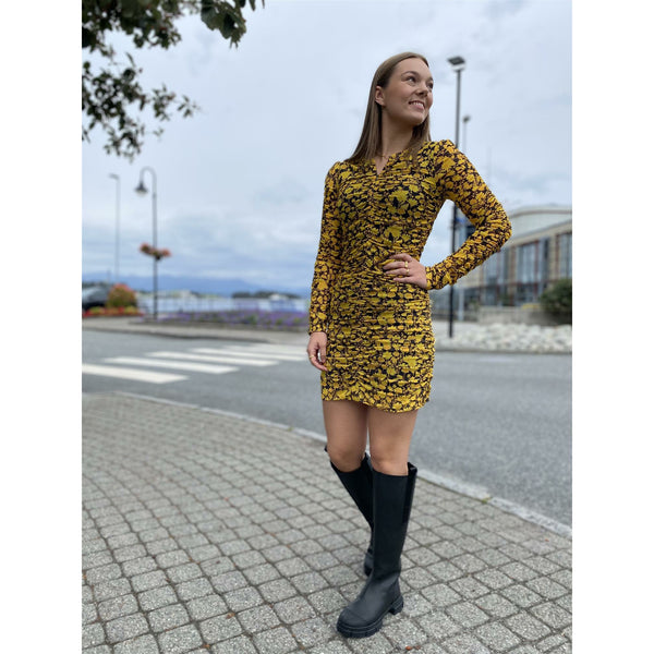 Printed Mesh Mini Dress