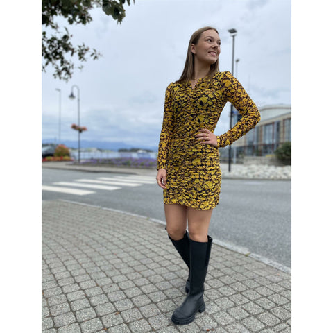 Printed Mesh Mini Dress