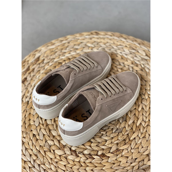 Shine Suede