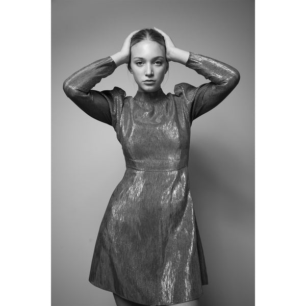 Jamina Metallic Dress